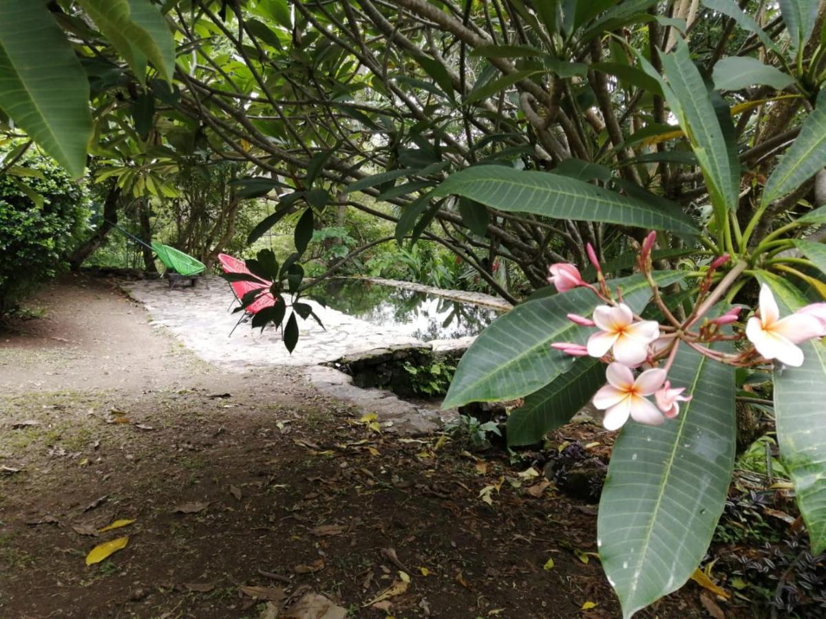 Casa Rural Aroma De Campo Curubande Dış mekan fotoğraf