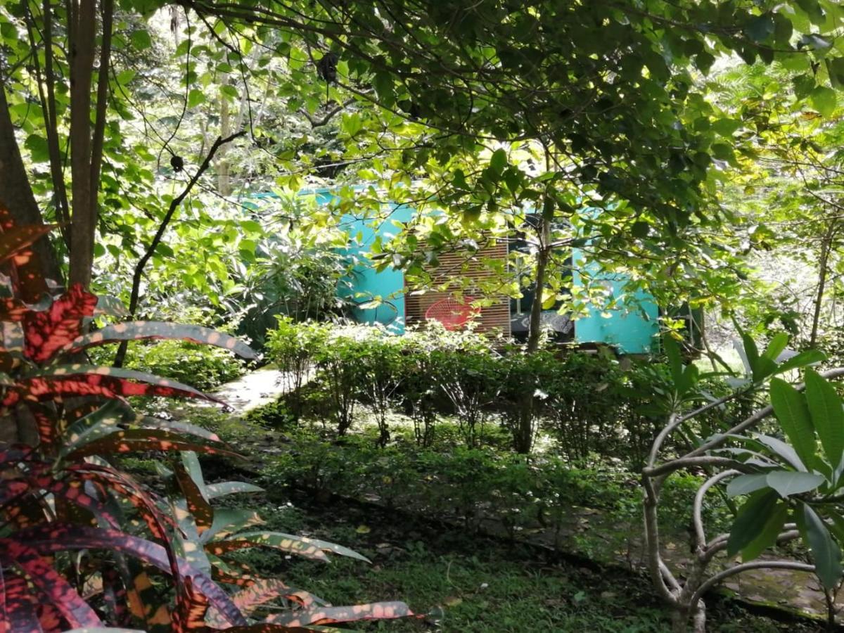 Casa Rural Aroma De Campo Curubande Dış mekan fotoğraf
