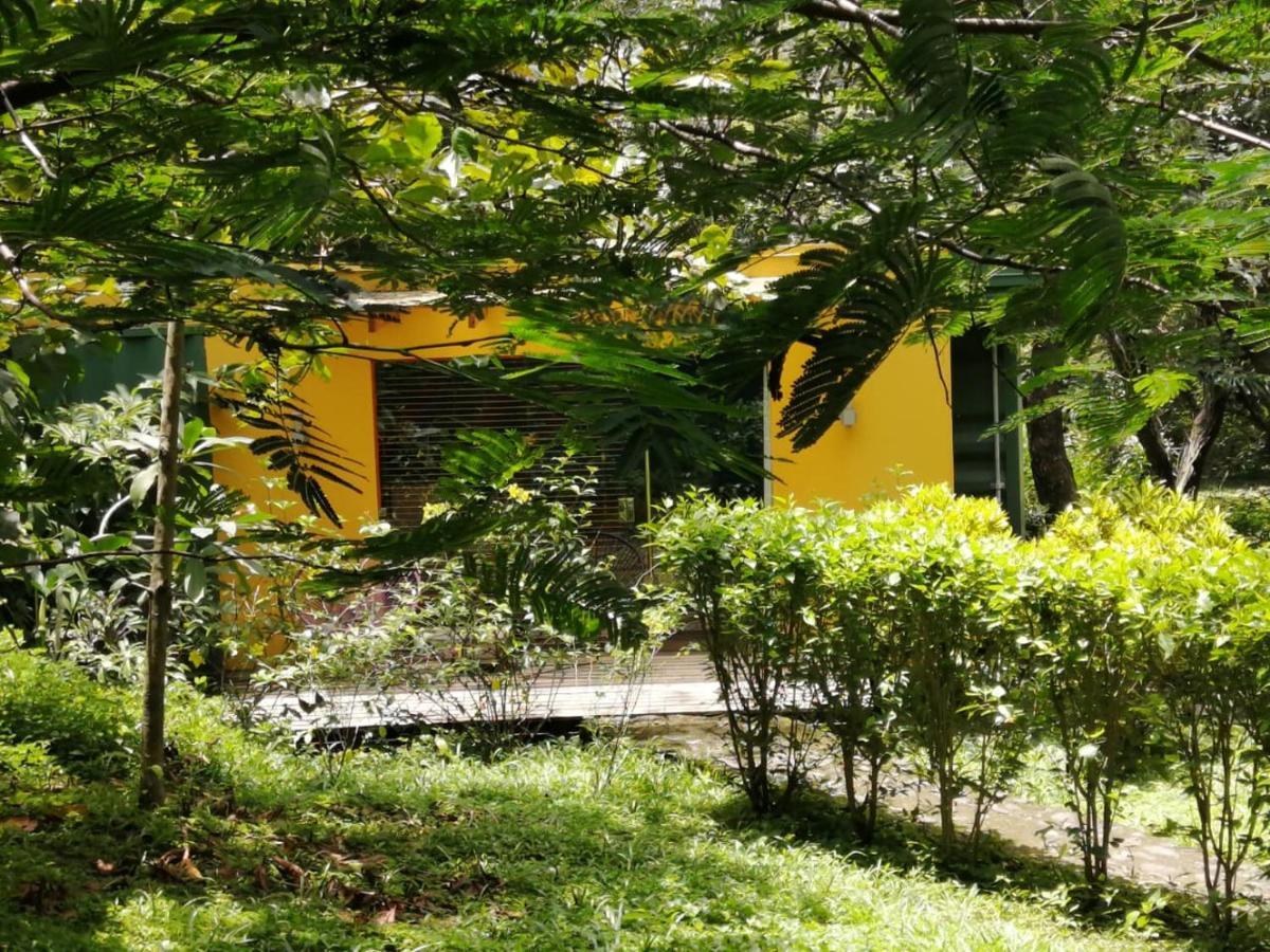 Casa Rural Aroma De Campo Curubande Dış mekan fotoğraf