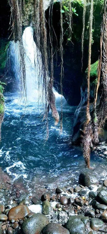 Casa Rural Aroma De Campo Curubande Dış mekan fotoğraf
